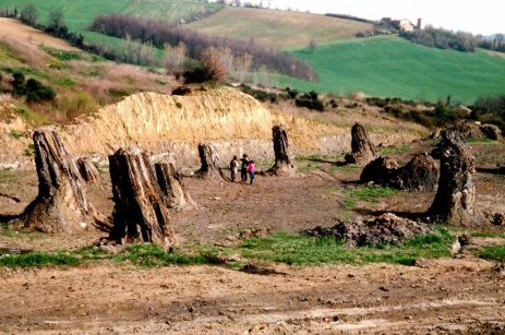 dunarobba 2