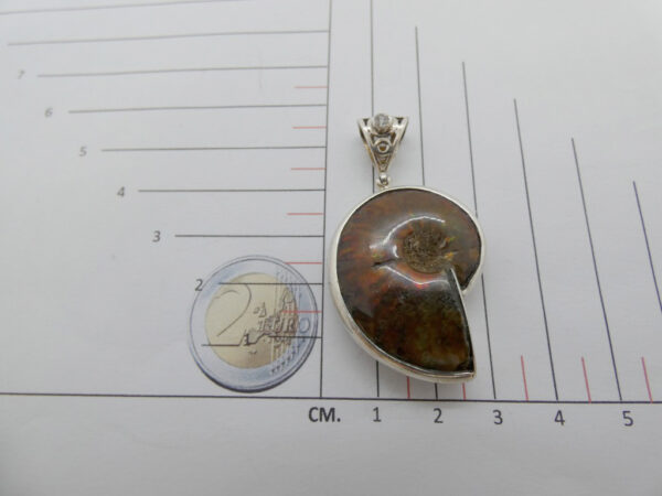 pendente in ammonite amop06 2