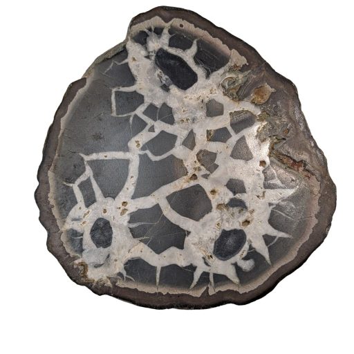 Noduli settariani 1 Noduli settariani