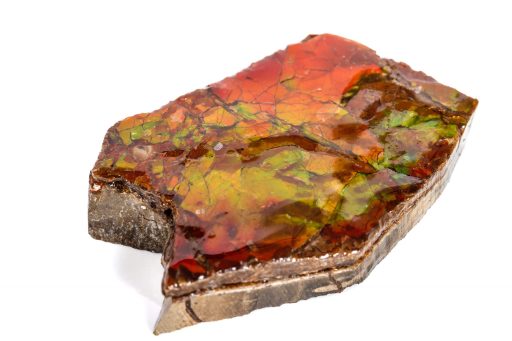 ammolite